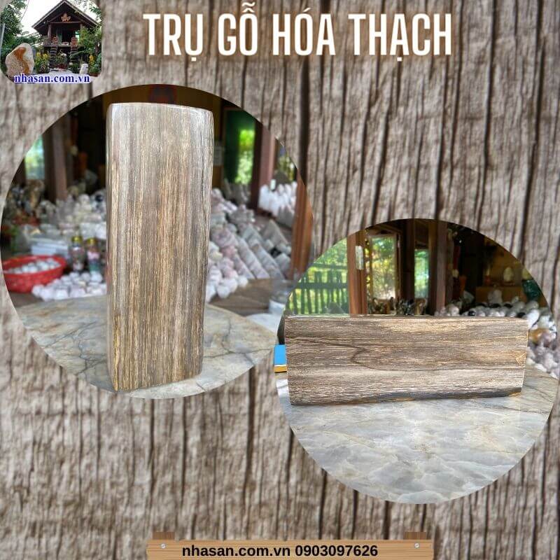 Trụ gỗ hóa thạch có thể được đặt ở nhiều vị trí khác nhau trong nhà, văn phòng Trụ gỗ hóa thạch có thể được đặt ở nhiều vị trí khác nhau trong nhà, văn phòng