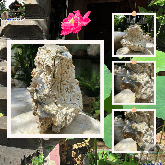 Đá mã não được xem là một loại đá quý mang nhiều ý nghĩa tâm linh và sức khỏe Đá mã não được xem là một loại đá quý mang nhiều ý nghĩa tâm linh và sức khỏe