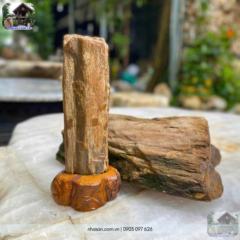 Gỗ hóa thạch tự nhiên là thân cây cổ thụ hóa đá hàng triệu năm, giữ nguyên thớ vân và hình dáng gỗ Gỗ hóa thạch tự nhiên là thân cây cổ thụ hóa đá hàng triệu năm, giữ nguyên thớ vân và hình dáng gỗ