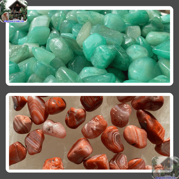 Được yêu thích bởi vẻ đẹp độc đáo và những ý nghĩa phong thủy sâu sắc Được yêu thích bởi vẻ đẹp độc đáo và những ý nghĩa phong thủy sâu sắc