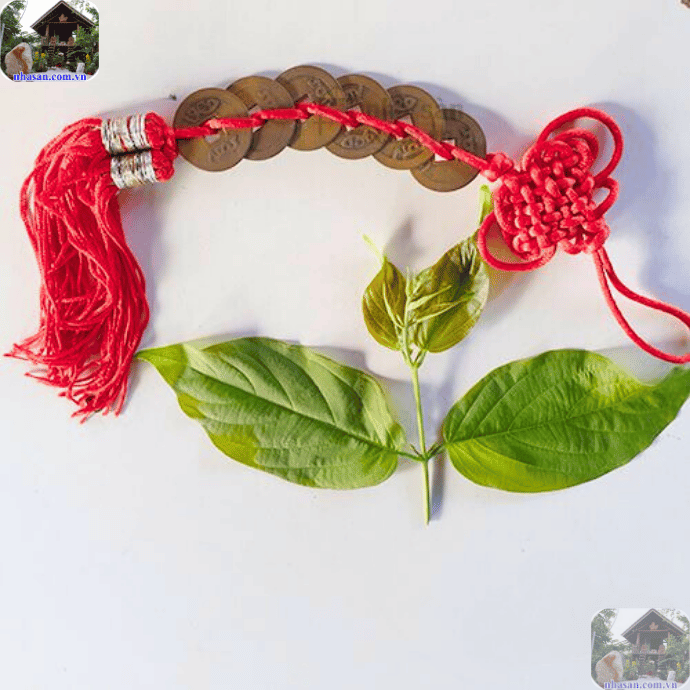 Đặt 6 đồng xu trong két sắt, hũ gạo (biểu tượng của tài sản và lương thực) để cầu sự sung túc Đặt 6 đồng xu trong két sắt, hũ gạo (biểu tượng của tài sản và lương thực) để cầu sự sung túc