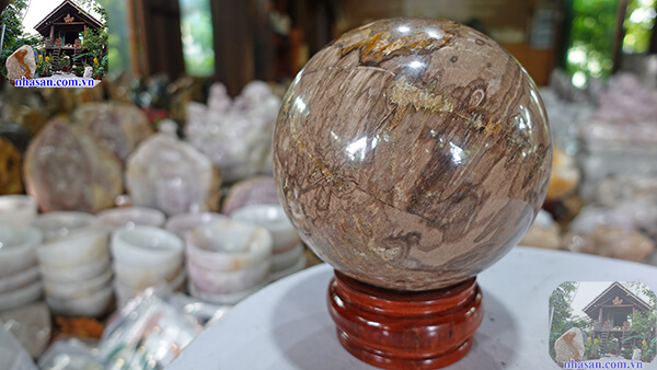 Quả cầu gỗ hóa thạch tự nhiên Quả cầu gỗ hóa thạch tự nhiên