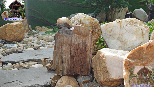 Gố hóa thạch thô trang trí, trấn trạch Gố hóa thạch thô trang trí, trấn trạch