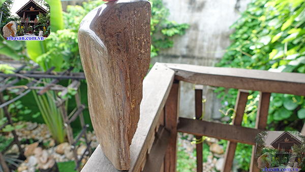 Đâu là địa chỉ bán gỗ hóa thạch HCM uy tín Đâu là địa chỉ bán gỗ hóa thạch HCM uy tín