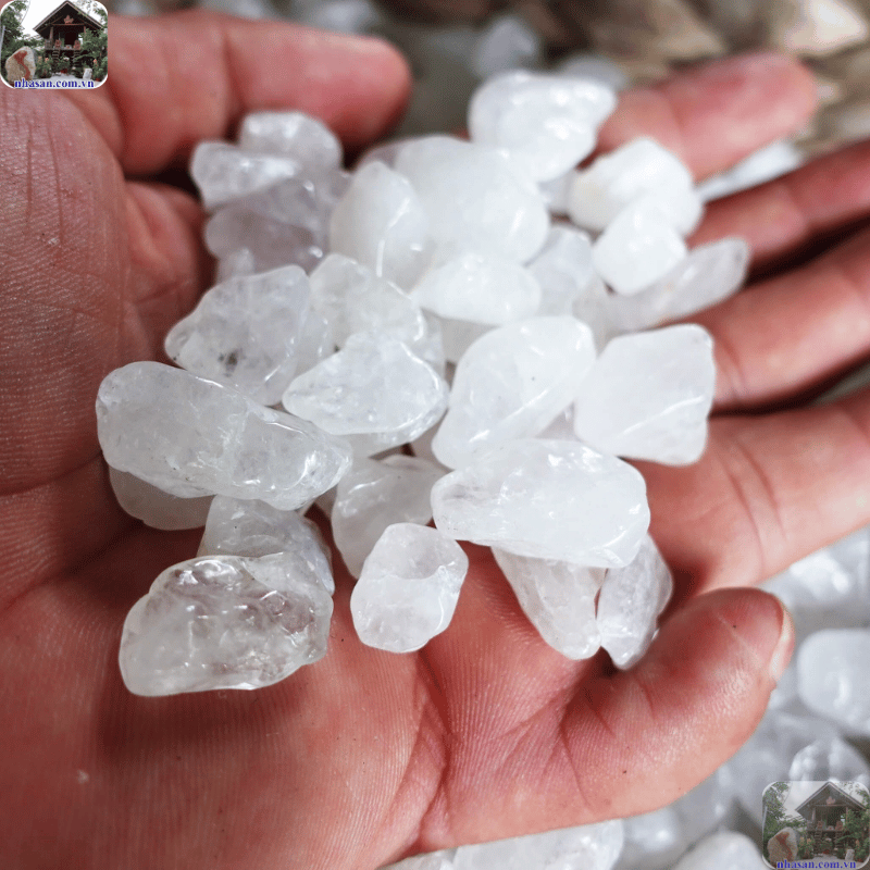 Năng lượng dương mạnh mẽ từ thạch anh trắng trong bình giúp điều hòa và cân bằng lại luồng khí Năng lượng dương mạnh mẽ từ thạch anh trắng trong bình giúp điều hòa và cân bằng lại luồng khí