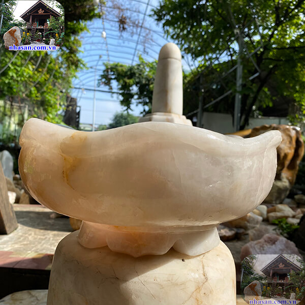 Vẻ đẹp của bát sen thả hoa tắm phật dưới ánh nắng rực rỡ Vẻ đẹp của bát sen thả hoa tắm phật dưới ánh nắng rực rỡ