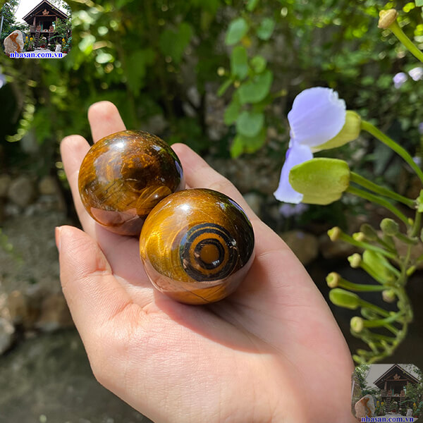 Bi lăn tay còn được gọi là bảo kiện cầu Bi lăn tay còn được gọi là bảo kiện cầu