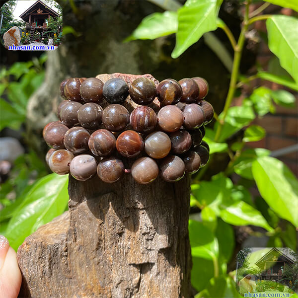 Vòng đá gỗ hóa thạch mang đến sự gắn kết Vòng đá gỗ hóa thạch mang đến sự gắn kết