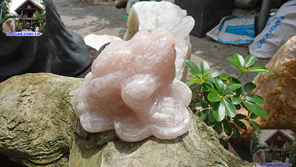 Gia chủ cần nắm rõ cách đặt cóc ngậm tiền trên bàn thờ Thần tài Gia chủ cần nắm rõ cách đặt cóc ngậm tiền trên bàn thờ Thần tài