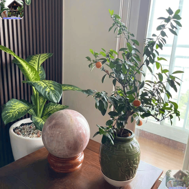 Cách đặt quả cầu phong thủy trong nhà sao cho đúng vị trí là điều vô cùng quan trọng Cách đặt quả cầu phong thủy trong nhà sao cho đúng vị trí là điều vô cùng quan trọng