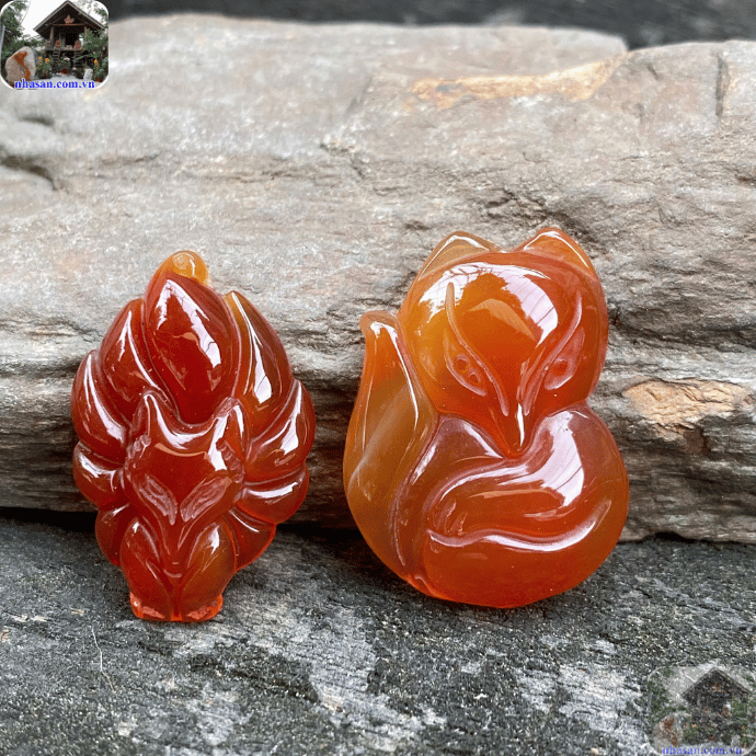 Việc thanh tẩy định kỳ giúp hồ ly loại bỏ năng lượng tiêu cực Việc thanh tẩy định kỳ giúp hồ ly loại bỏ năng lượng tiêu cực