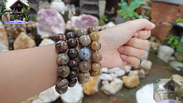 Cách sử dụng gỗ hóa thạch đúng giúp đem lại hiệu quả Cách sử dụng gỗ hóa thạch đúng giúp đem lại hiệu quả