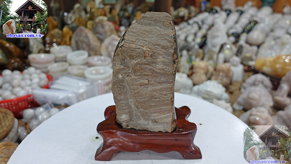 Gỗ hóa thạch mang năng lượng dương giúp tránh tà Gỗ hóa thạch mang năng lượng dương giúp tránh tà