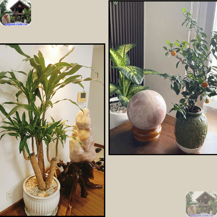 Có rất nhiều cách trấn trạch đất ở tuỳ thuộc vào tình trạng đất như thế nào Có rất nhiều cách trấn trạch đất ở tuỳ thuộc vào tình trạng đất như thế nào