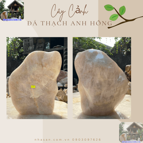 Đặt cây đá cảnh ở vị trí phù hợp sẽ giúp kích hoạt năng lượng dương  Đặt cây đá cảnh ở vị trí phù hợp sẽ giúp kích hoạt năng lượng dương