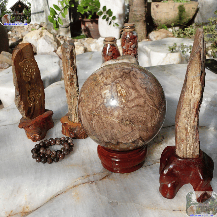 Gỗ hoá thạch phù hợp đặt ở nhiều vị trí khác nhau Gỗ hoá thạch phù hợp đặt ở nhiều vị trí khác nhau