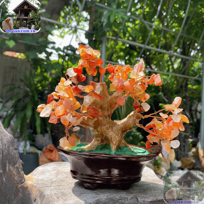 Cây tài lộc đá mã não đỏ- biển thể của đá thạch anh tự nhiên Cây tài lộc đá mã não đỏ- biển thể của đá thạch anh tự nhiên