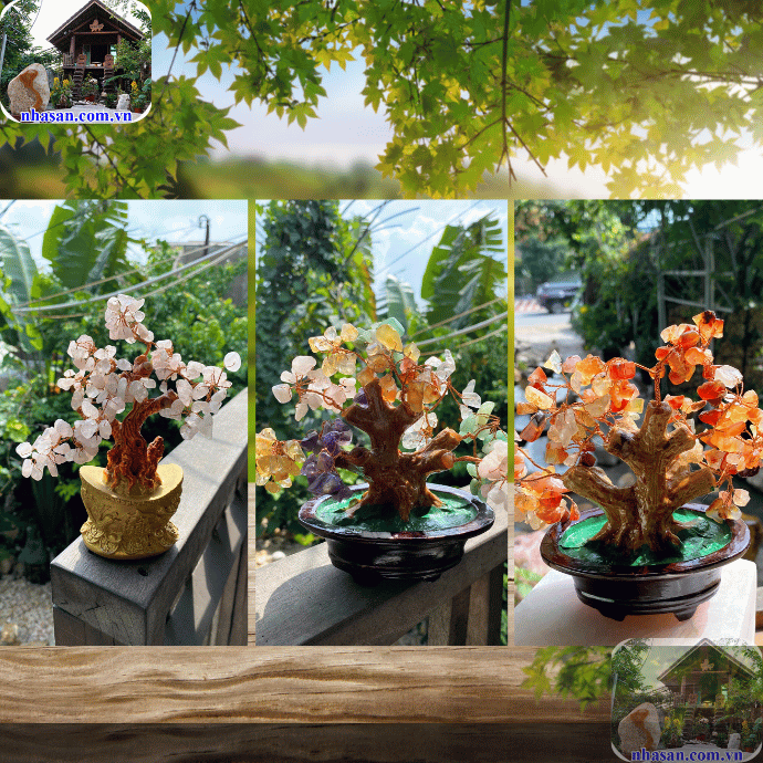 Nhà Sàn Tây Nguyên cung cấp cây đá thạch anh chất lượng Nhà Sàn Tây Nguyên cung cấp cây đá thạch anh chất lượng