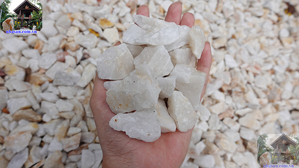 Nhiều gia chủ quan tâm nên chôn gì dưới nền nhà Nhiều gia chủ quan tâm nên chôn gì dưới nền nhà