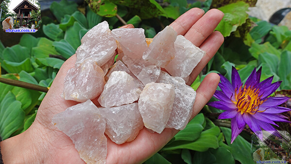 Đá thạch anh hồng vụn kích thước 1x2cm Đá thạch anh hồng vụn kích thước 1x2cm