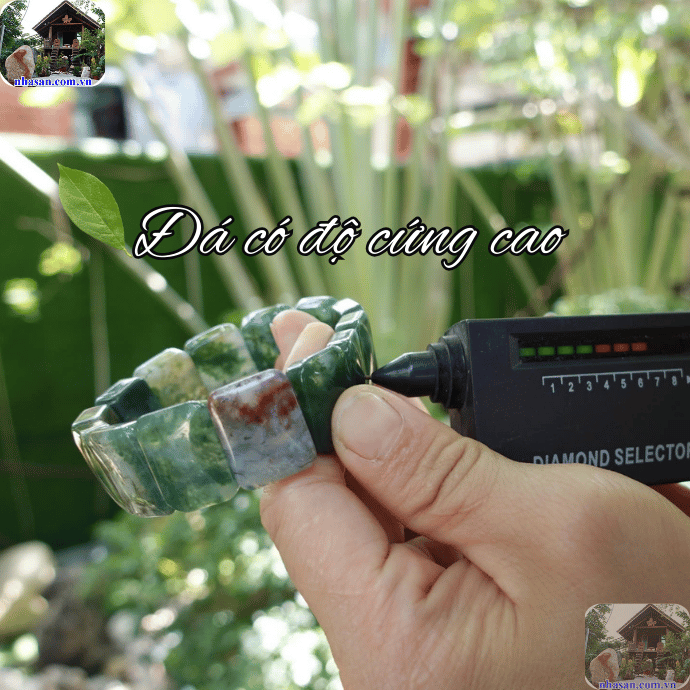 Đá băng ngọc thủy tảo có khả năng chống chịu tốt Đá băng ngọc thủy tảo có khả năng chống chịu tốt