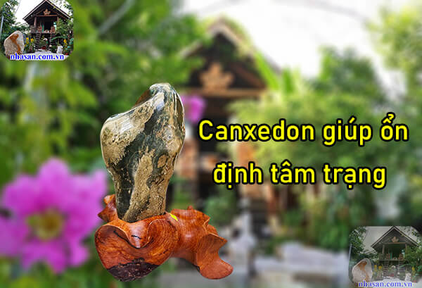 Canxedon chứa thành tự nhiên giúp ổn định tâm trạng Canxedon chứa thành tự nhiên giúp ổn định tâm trạng