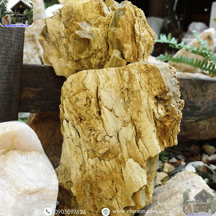 Hãy dành thời gian để làm sạch đá định kỳ mỗi tháng một lần Hãy dành thời gian để làm sạch đá định kỳ mỗi tháng một lần