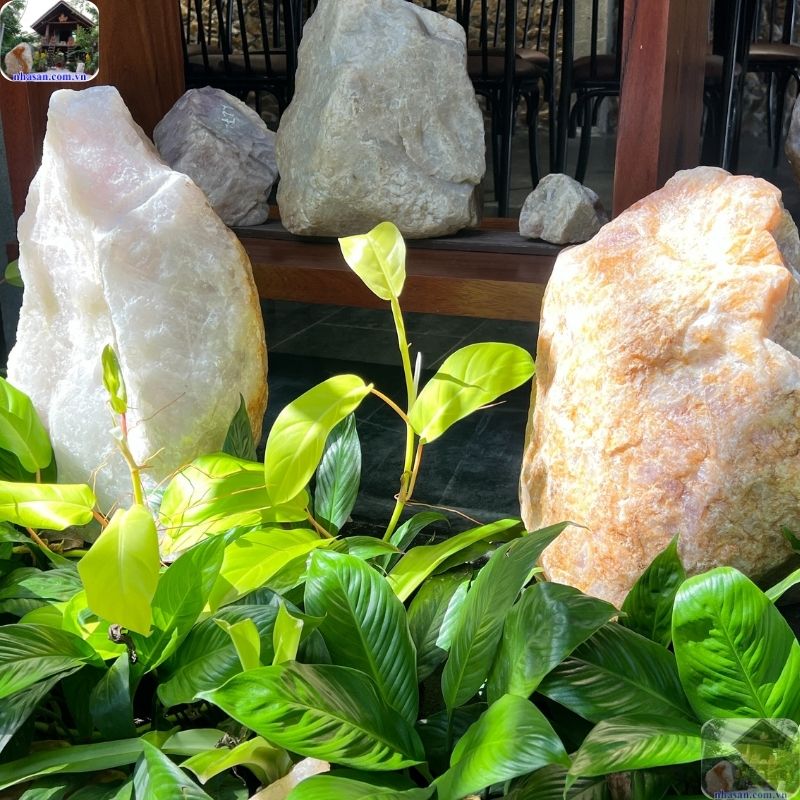 Cách đặt đá trước cửa đúng phong thuỷ để phát huy hiệu quả Cách đặt đá trước cửa đúng phong thuỷ để phát huy hiệu quả