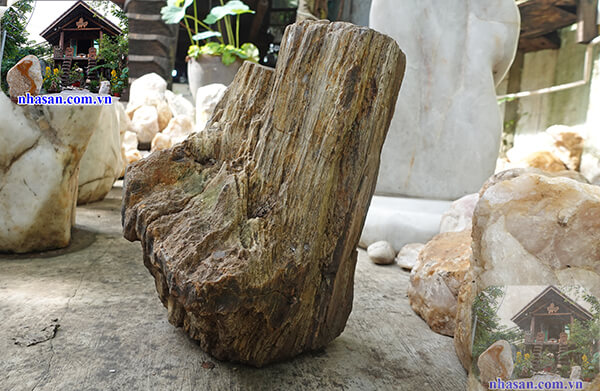 Mỗi một loại gỗ hóa thạch có dáng vẻ và khí chất khác nhau Mỗi một loại gỗ hóa thạch có dáng vẻ và khí chất khác nhau