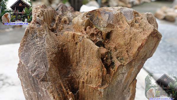 Đá bán quý bị chôn vùi hàng triệu năm Đá bán quý bị chôn vùi hàng triệu năm