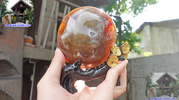 Có nhiều tác dụng tốt cho sức khỏe Có nhiều tác dụng tốt cho sức khỏe