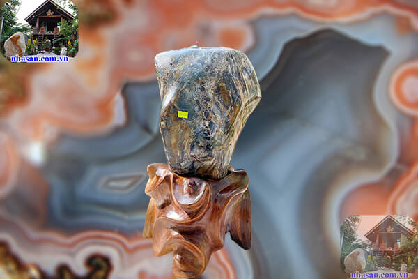 Hỗ trợ bảo vệ sức khỏe người sử dụng Hỗ trợ bảo vệ sức khỏe người sử dụng