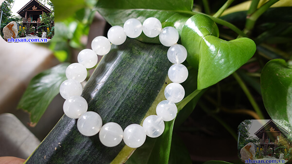 Hấp thu nguồn năng lượng xấu Hấp thu nguồn năng lượng xấu