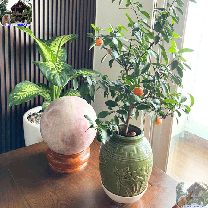 Đá thạch anh để phòng khách giúp điều hòa năng lượng Đá thạch anh để phòng khách giúp điều hòa năng lượng