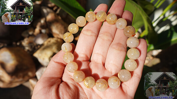 Sở hữu các sợi tinh thể hình que từng chùm được ví von như bã mía Sở hữu các sợi tinh thể hình que từng chùm được ví von như bã mía