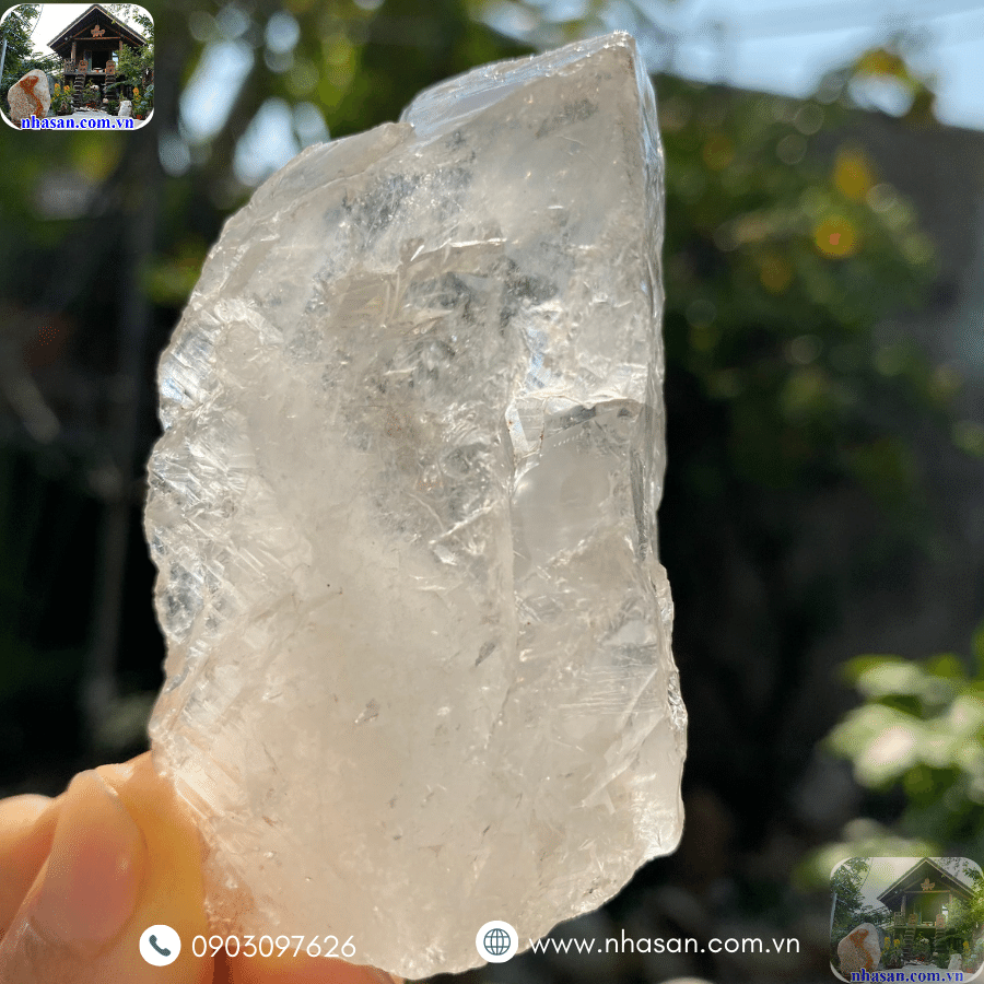 Được yêu thích bởi vẻ đẹp tinh tế và những ý nghĩa phong thủy tốt đẹp Được yêu thích bởi vẻ đẹp tinh tế và những ý nghĩa phong thủy tốt đẹp