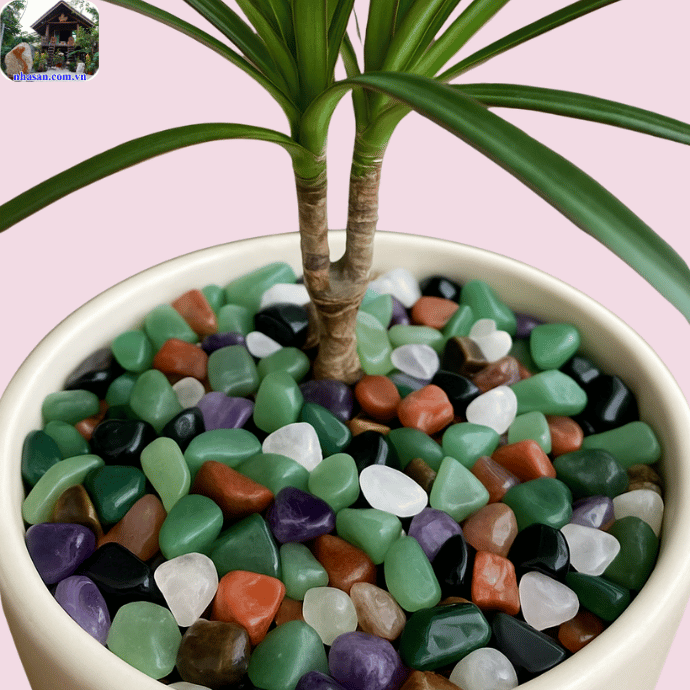 Đá thạch anh vụn rải chậu cây giúp tăng cường sinh khí cho cây cối Đá thạch anh vụn rải chậu cây giúp tăng cường sinh khí cho cây cối