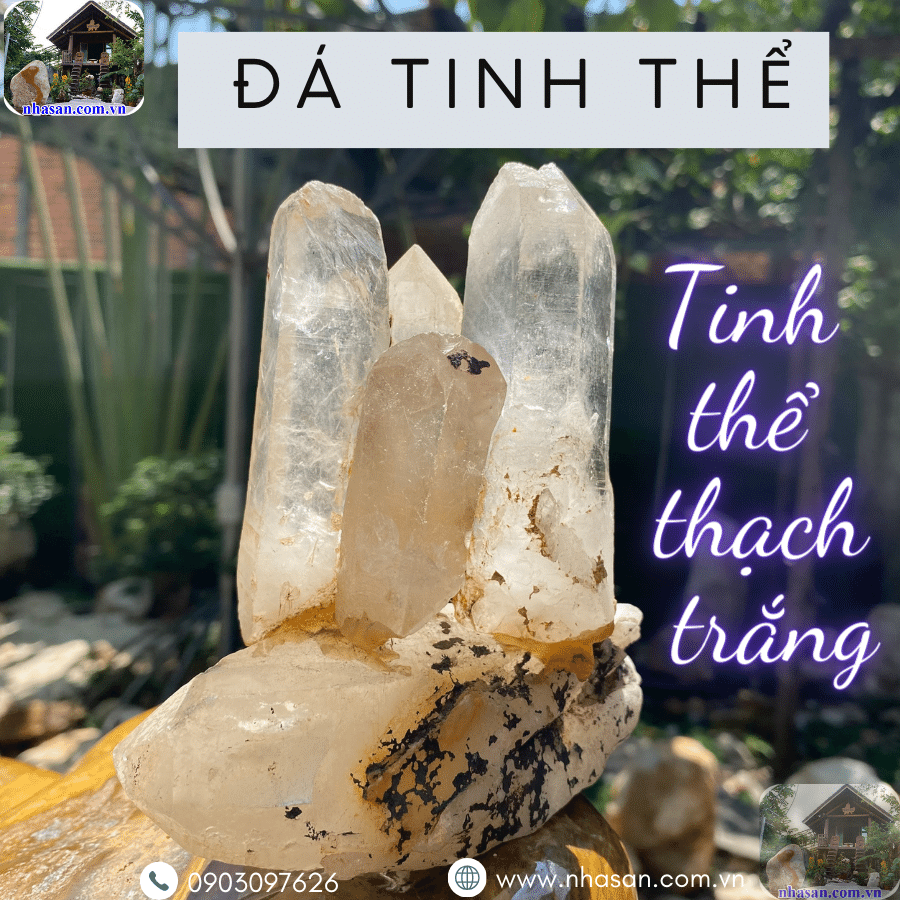 Đá tinh thể được cho là có khả năng bảo vệ con người khỏi năng lượng tiêu cực Đá tinh thể được cho là có khả năng bảo vệ con người khỏi năng lượng tiêu cực