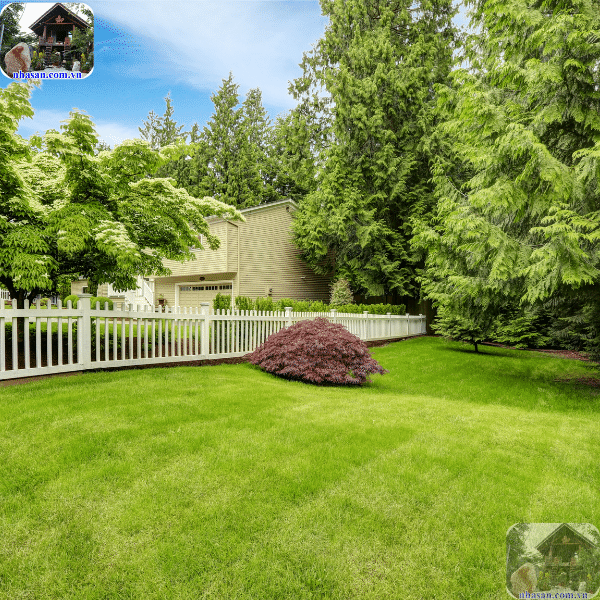 Thế đất đẹp là nơi hội tụ vượng khí, tài lộc, may mắn Thế đất đẹp là nơi hội tụ vượng khí, tài lộc, may mắn