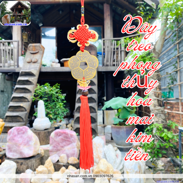 5 cánh hoa mai tượng trưng cho Kim - Mộc - Thủy - Hỏa - Thổ 5 cánh hoa mai tượng trưng cho Kim - Mộc - Thủy - Hỏa - Thổ