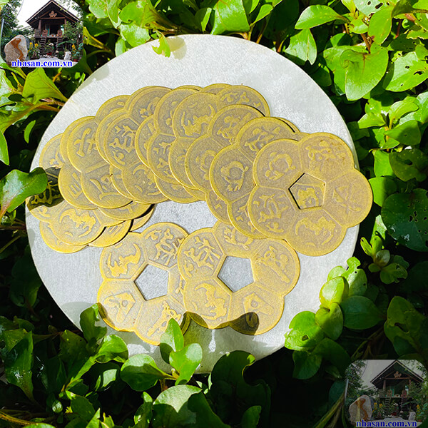 Đồng tiền hoa mai treo ở đâu đã được giải đáp Đồng tiền hoa mai treo ở đâu đã được giải đáp