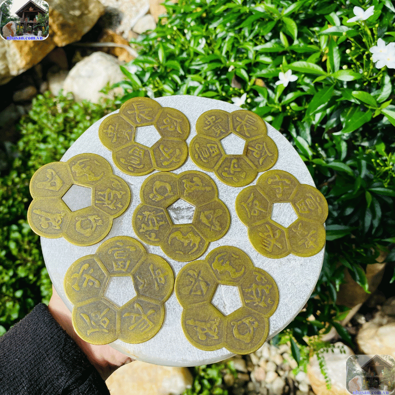 Trên mỗi mặt của đồng xu hoa mai đều chứa đựng những biểu tượng phong thủy quan trọng Trên mỗi mặt của đồng xu hoa mai đều chứa đựng những biểu tượng phong thủy quan trọng