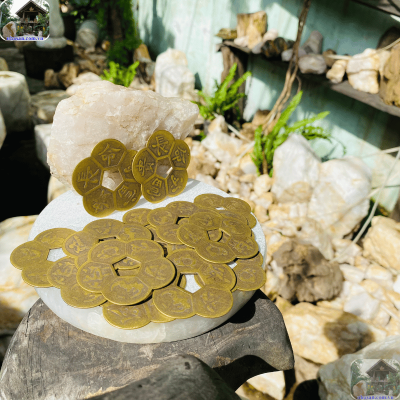 Đồng xu hoa mai là một biểu tượng nhỏ bé nhưng lại chứa đựng sức mạnh chiêu tài vô cùng lớn Đồng xu hoa mai là một biểu tượng nhỏ bé nhưng lại chứa đựng sức mạnh chiêu tài vô cùng lớn