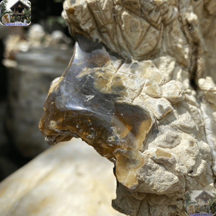 Gạt tàn thuốc bằng đá mã não là một biểu tượng thể hiện gu đẳng cấp Gạt tàn thuốc bằng đá mã não là một biểu tượng thể hiện gu đẳng cấp