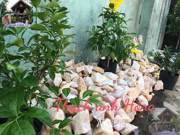 Đá thạch anh hồng vụn thô 4x6cm Đá thạch anh hồng vụn thô 4x6cm