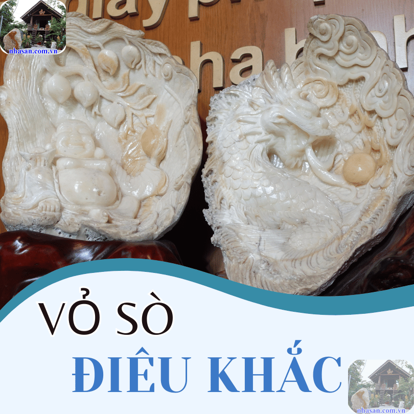 Vỏ sò tai tượng được điêu khắc thành nhiều hình thù độc đáo Vỏ sò tai tượng được điêu khắc thành nhiều hình thù độc đáo