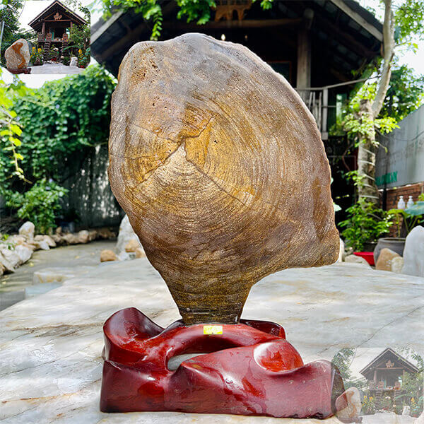 Gỗ hóa ngọc là gì đều là thắc mắc chung của nhiều gia chủ Gỗ hóa ngọc là gì đều là thắc mắc chung của nhiều gia chủ