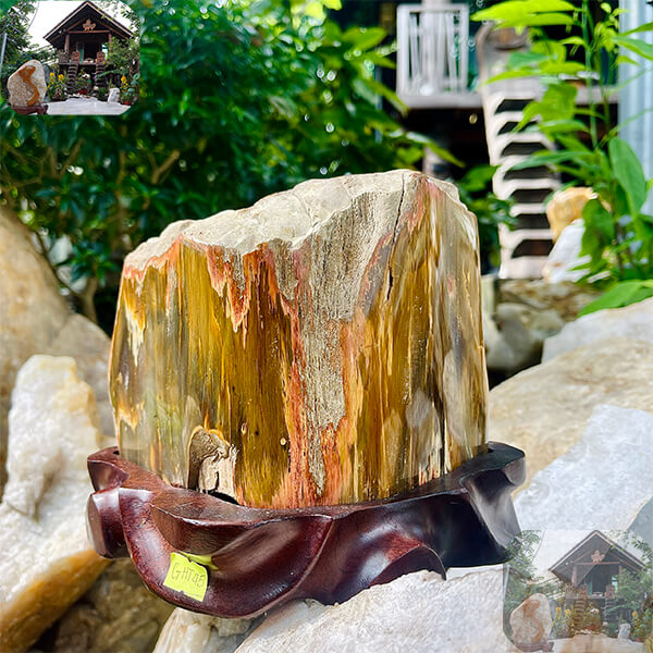 Trụ gỗ hóa thạch bày trí không gian sống Trụ gỗ hóa thạch bày trí không gian sống