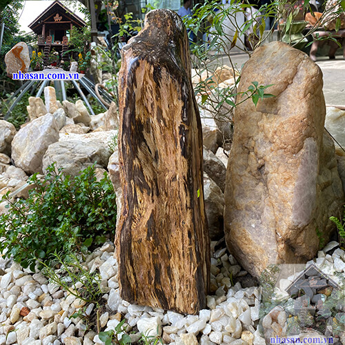 Gỗ hóa ngọc là tên gọi của gỗ hóa đá Gỗ hóa ngọc là tên gọi của gỗ hóa đá