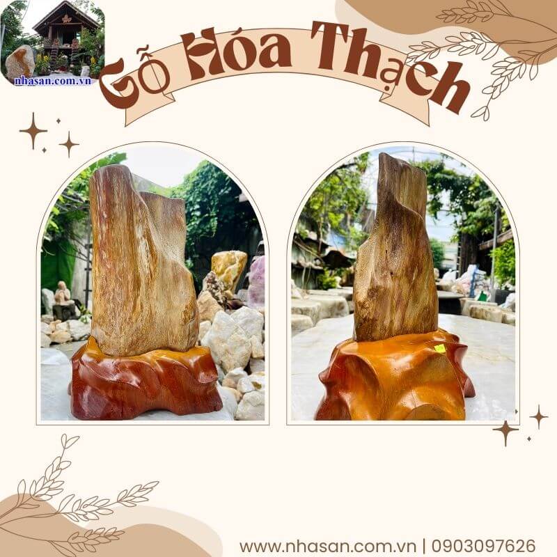 Gỗ hóa thạch triệu năm tuổi thiên nhiên Gỗ hóa thạch triệu năm tuổi thiên nhiên
